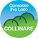 consorzio collinare ud