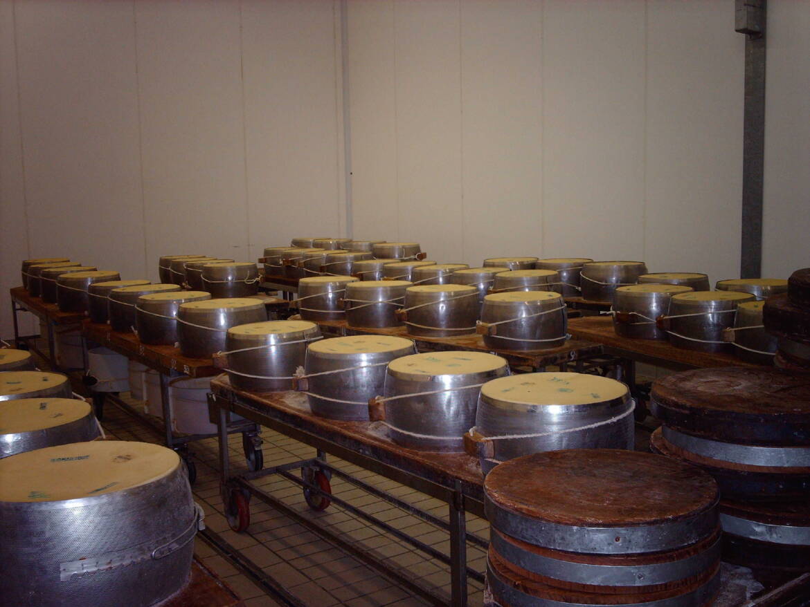 gattatico-2007-16.jpg